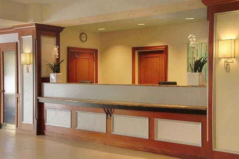 Springhill Suites By Marriott Tampa Westshore İç mekan fotoğraf
